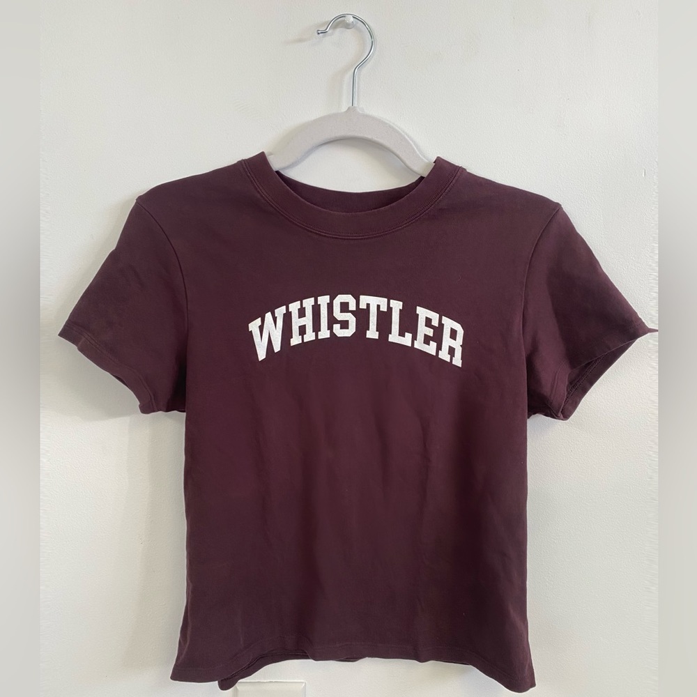 Aritzia Sunday Best Baby Tee Whistler